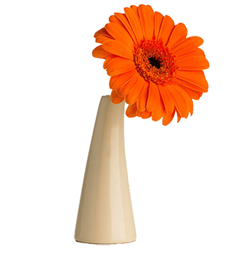 Modern Ceramic Vase image