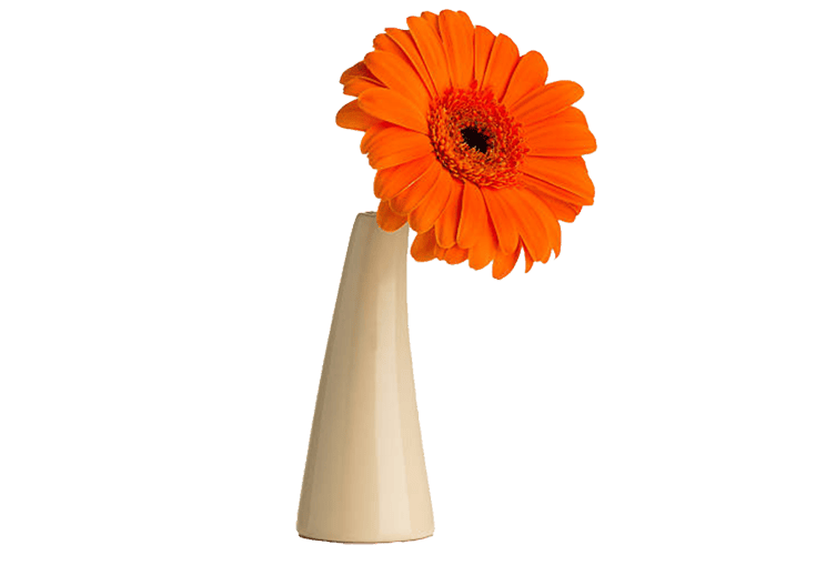 Less, But Better: The Art of Editing Decorative Items for a Cleaner, Stronger
                                        Home Design blog image